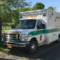 Rescue Vehicle and Tree